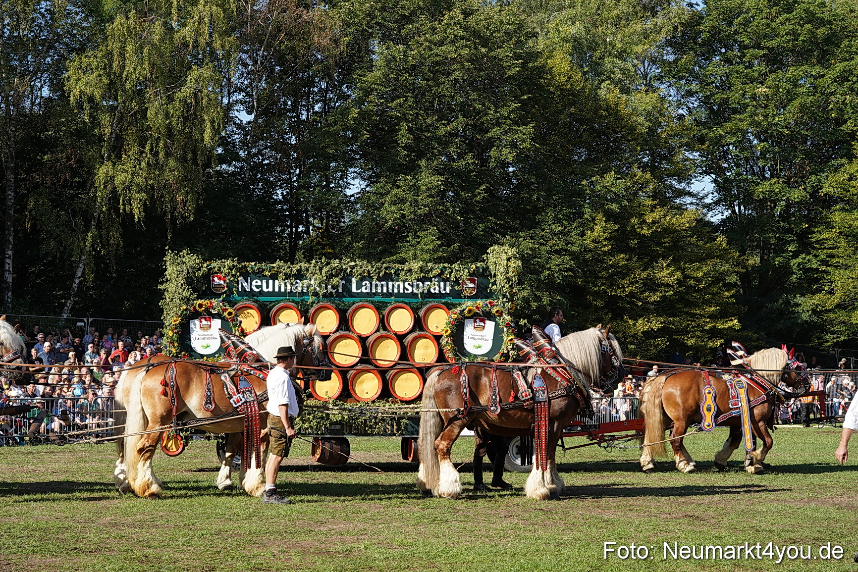 Pferde und Fohlenschau 2022 0055 